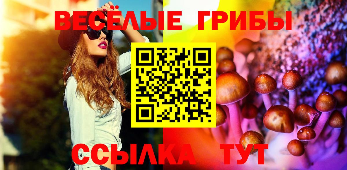 Псилоцибиновые грибы мухоморы  Псилоцибиновые грибы прущие грибы  Тавда  Вход с VPN 